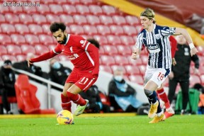 冲刺阶段纽约尼克斯状态回暖——葡超节点到来，引发热议，心理建设被强调的简单介绍-爱游戏体育官网