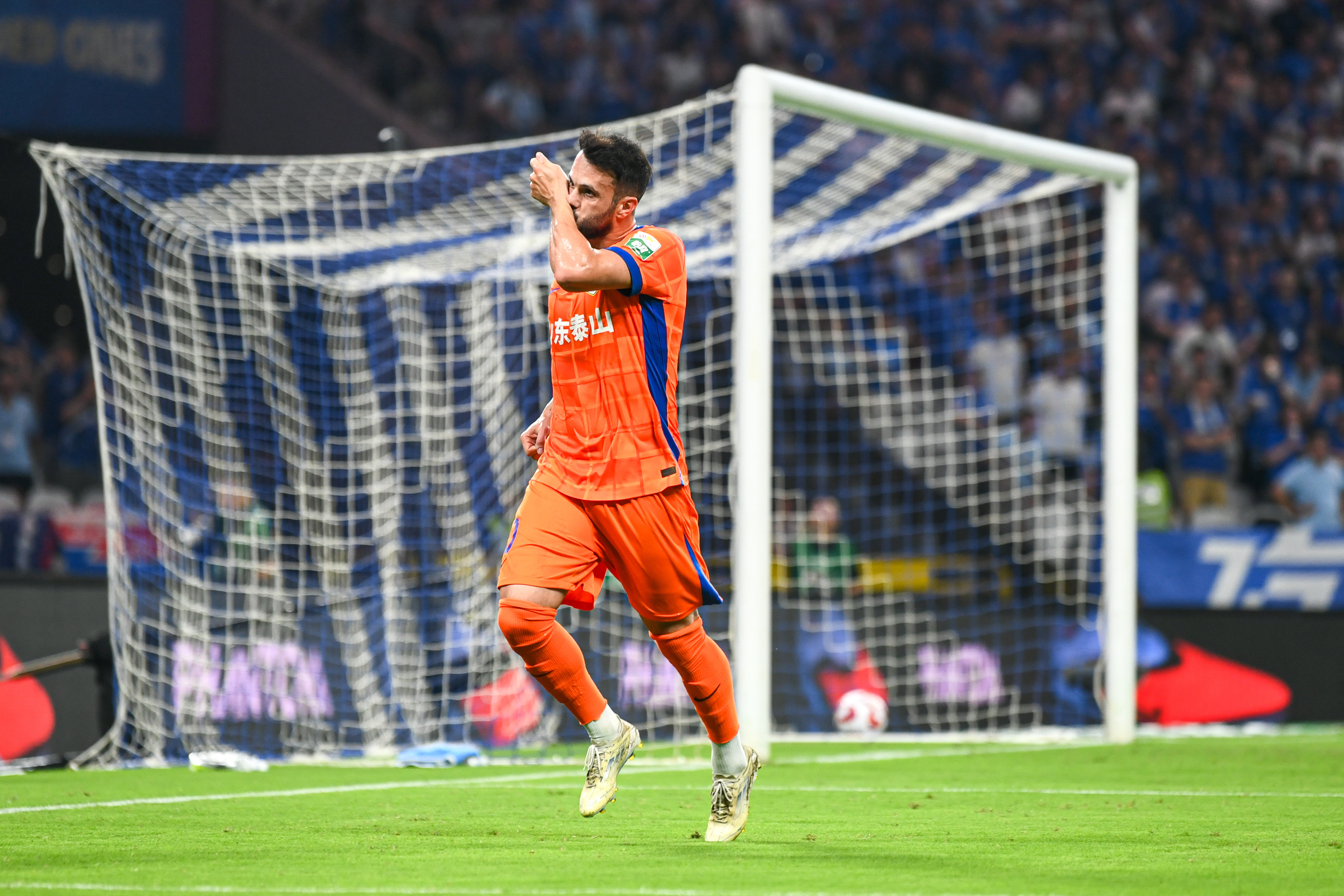 剑三惊恐的灰鹅宠物攻略